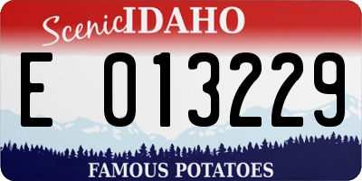 ID license plate E013229