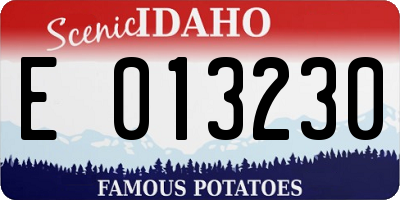 ID license plate E013230