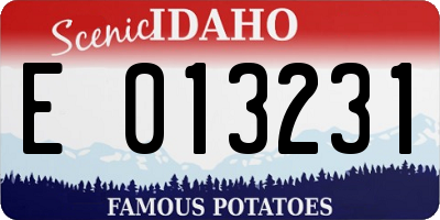 ID license plate E013231