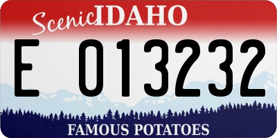 ID license plate E013232