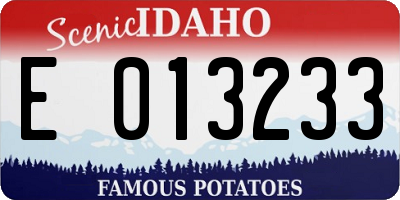 ID license plate E013233