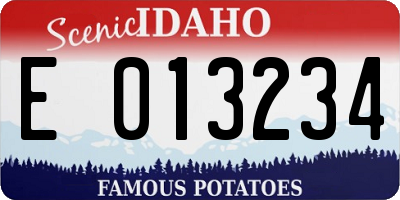 ID license plate E013234