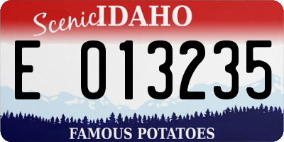 ID license plate E013235