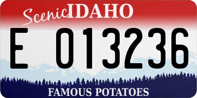 ID license plate E013236