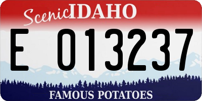 ID license plate E013237