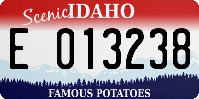 ID license plate E013238