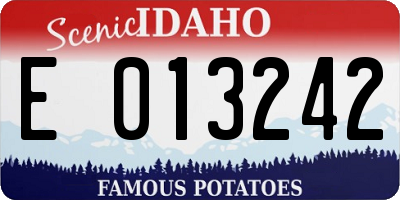ID license plate E013242