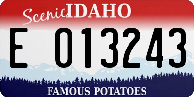 ID license plate E013243