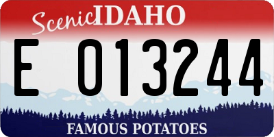 ID license plate E013244