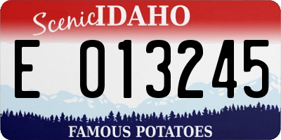 ID license plate E013245