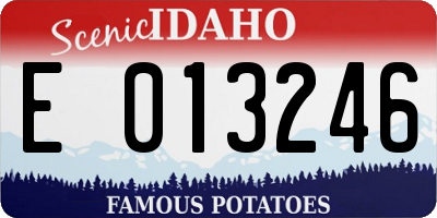 ID license plate E013246