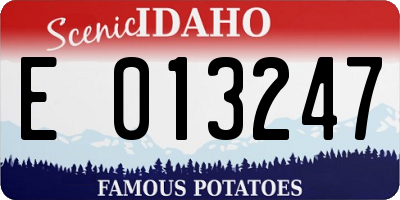 ID license plate E013247