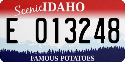 ID license plate E013248