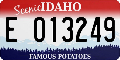 ID license plate E013249