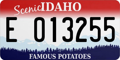 ID license plate E013255