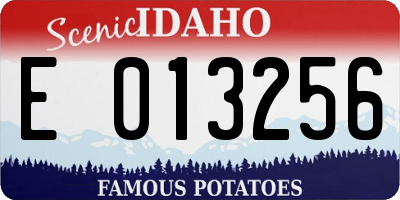 ID license plate E013256