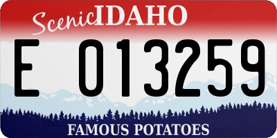 ID license plate E013259