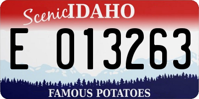 ID license plate E013263