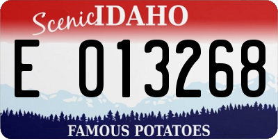 ID license plate E013268