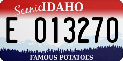 ID license plate E013270