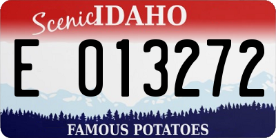 ID license plate E013272