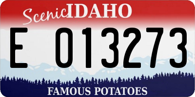ID license plate E013273