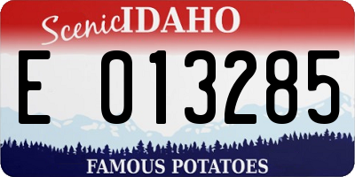 ID license plate E013285
