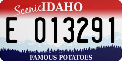 ID license plate E013291