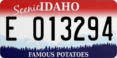 ID license plate E013294