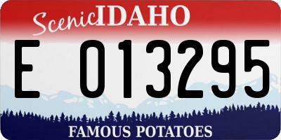 ID license plate E013295