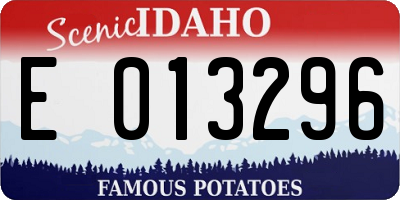 ID license plate E013296