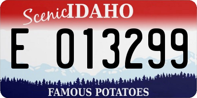 ID license plate E013299