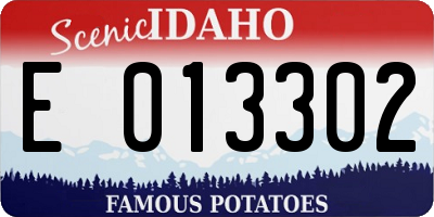 ID license plate E013302