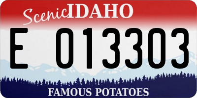 ID license plate E013303