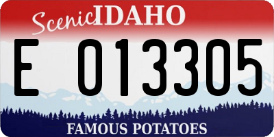 ID license plate E013305