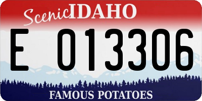 ID license plate E013306