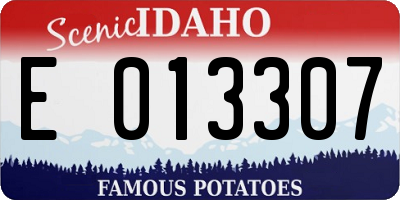 ID license plate E013307