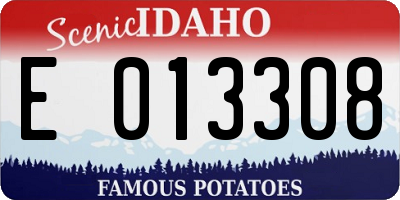 ID license plate E013308