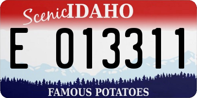 ID license plate E013311