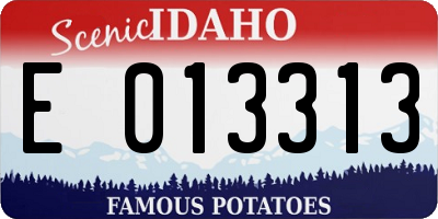 ID license plate E013313