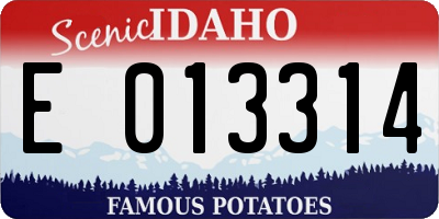 ID license plate E013314