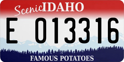ID license plate E013316