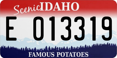 ID license plate E013319