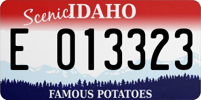 ID license plate E013323