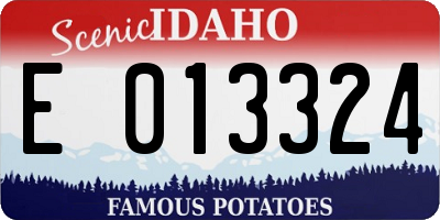 ID license plate E013324