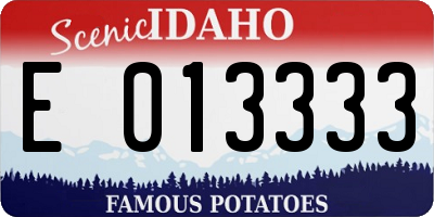 ID license plate E013333