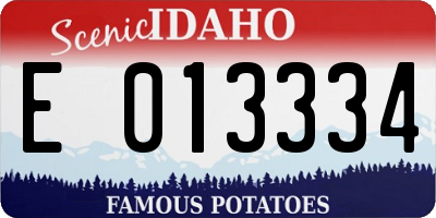 ID license plate E013334