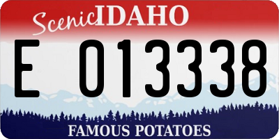ID license plate E013338