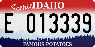 ID license plate E013339