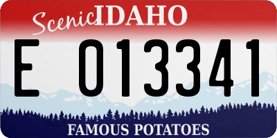 ID license plate E013341